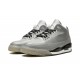 Nike Air Jordan 3 NZ Mens Silver 631603-003 Footwear