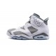 Nike Air Jordan 6 NZ Mens Cool Grey CT8529-100 Footwear