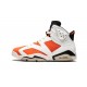 Nike Air Jordan 6 NZ Mens Retro Gatorade 384664-145 Footwear