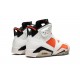 Nike Air Jordan 6 NZ Mens Retro Gatorade 384664-145 Footwear