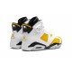 Nike Air Jordan 6 NZ Mens Yellow Ochre CT8529-170 Footwear