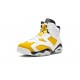 Nike Air Jordan 6 NZ Mens Yellow Ochre CT8529-170 Footwear